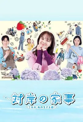 对岸的家务事