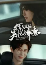 傅先生的失忆娇妻