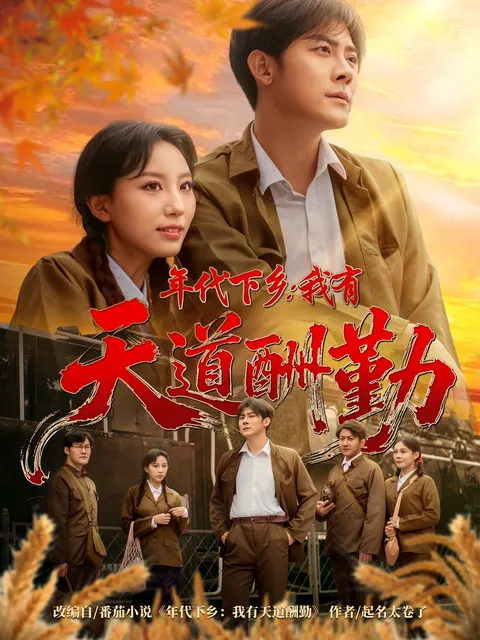 年代下乡我有天道酬勤