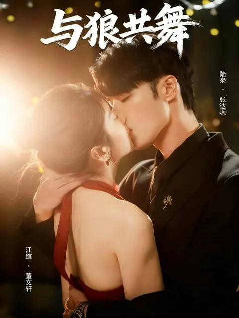 剧情引人入胜的《与狼共舞》