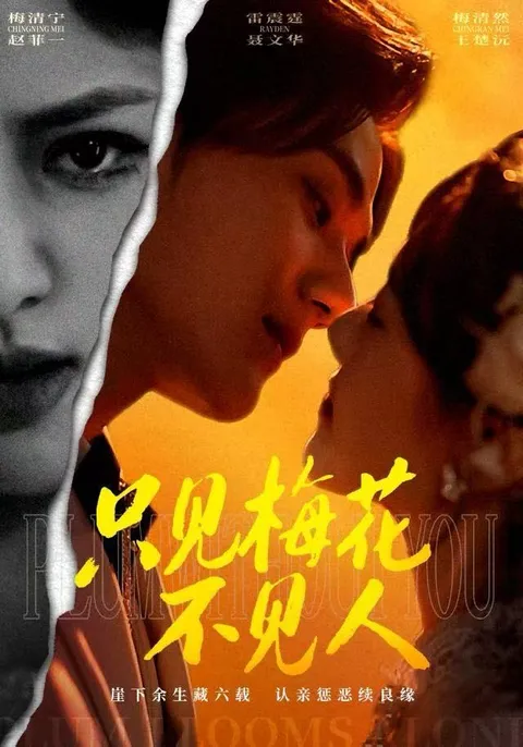 情感纠葛的爽文短剧《只见梅花不见人》