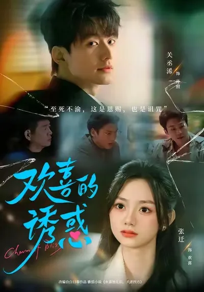 一段甜蜜又欢乐的爱情故事 - 欢喜的诱惑