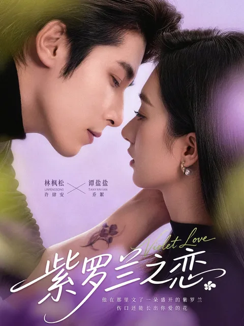 《紫罗兰之恋》剧情揭秘