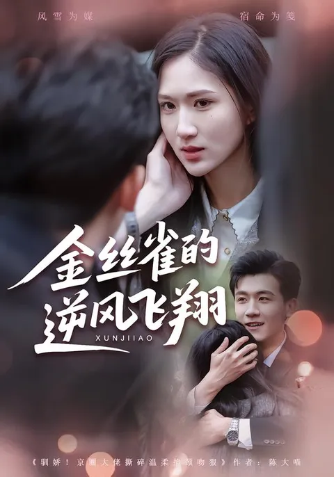 逆境重生 - 爽文短剧《金丝雀的逆风飞翔》