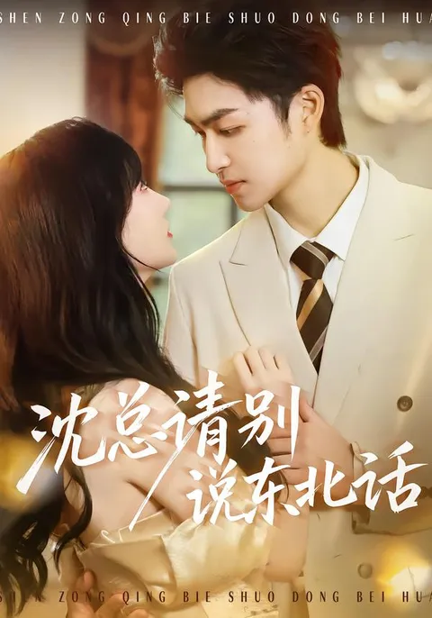 《沈总请别说东北话》剧情详解