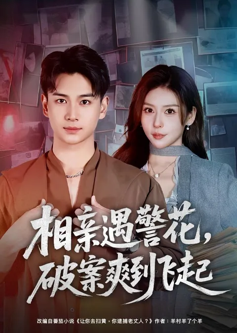 《相亲遇警花》剧情紧凑，一气呵成