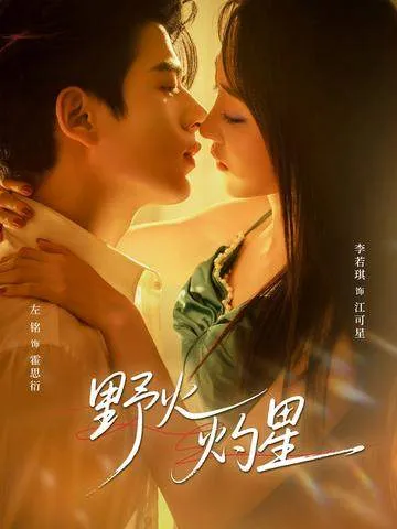 剧情精彩纷呈：《野火灼星》