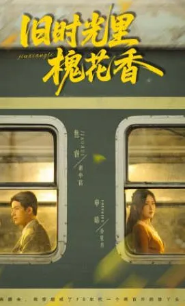 《旧时光里槐花香》带你回到那些美好的岁月