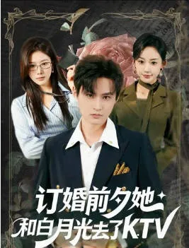 订婚前夕她和白月光去了KTV短剧全集信息